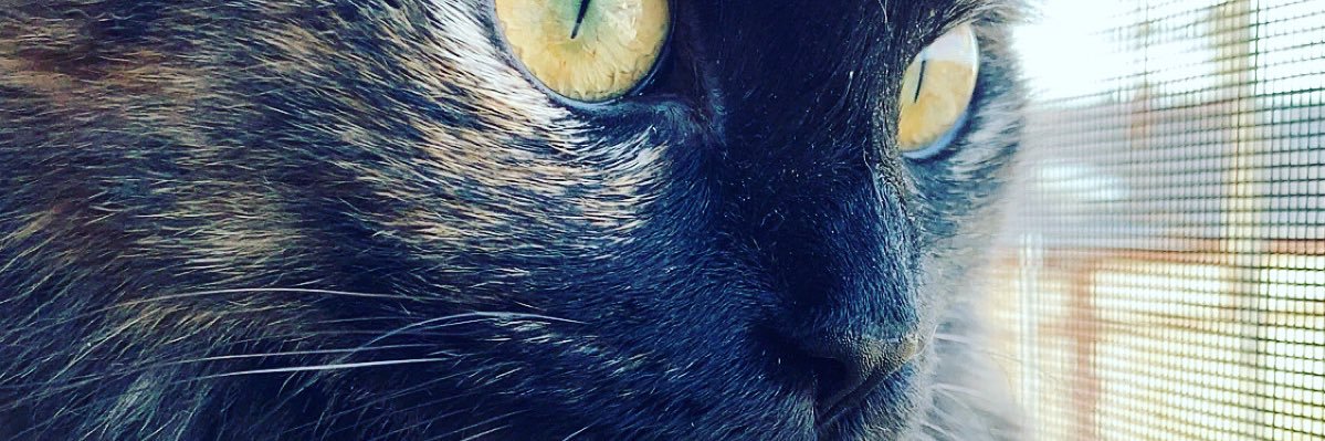 Gilius76's profile banner image