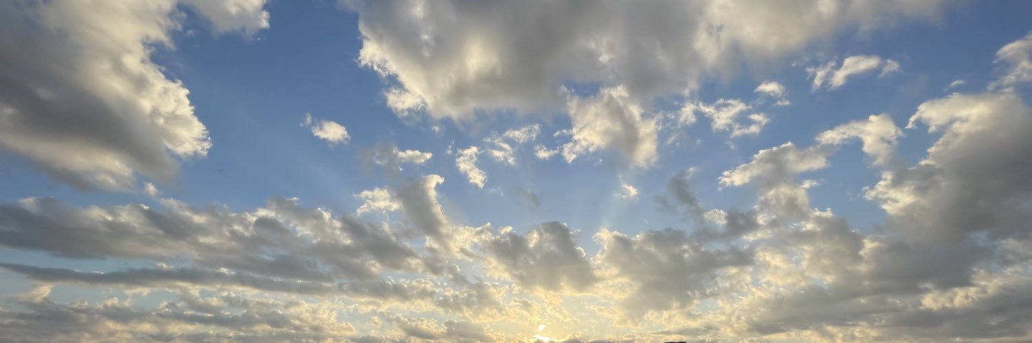 たま（サブ） banner