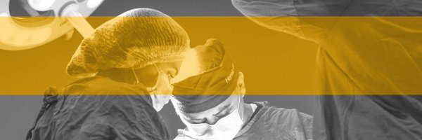 HORUS_EUproject Profile Banner