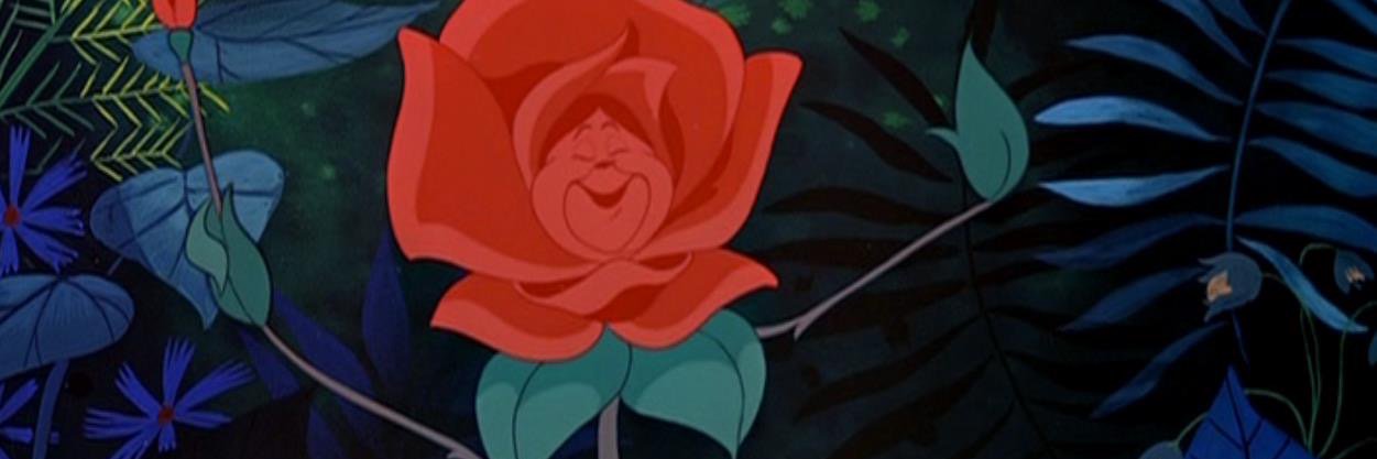 kakicuddles's profile banner image