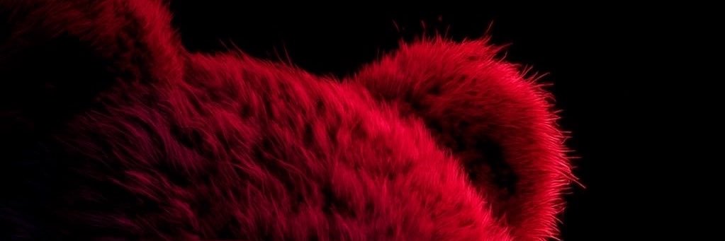 liam Scott banner