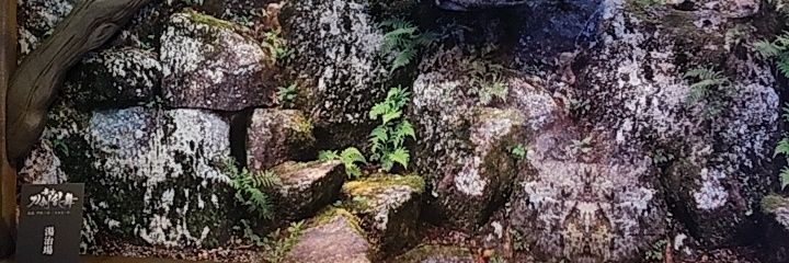 minaduki_sideT's profile banner image