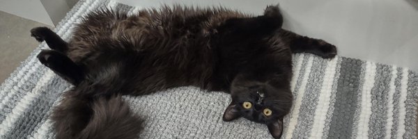 Jayson_JDL Profile Banner