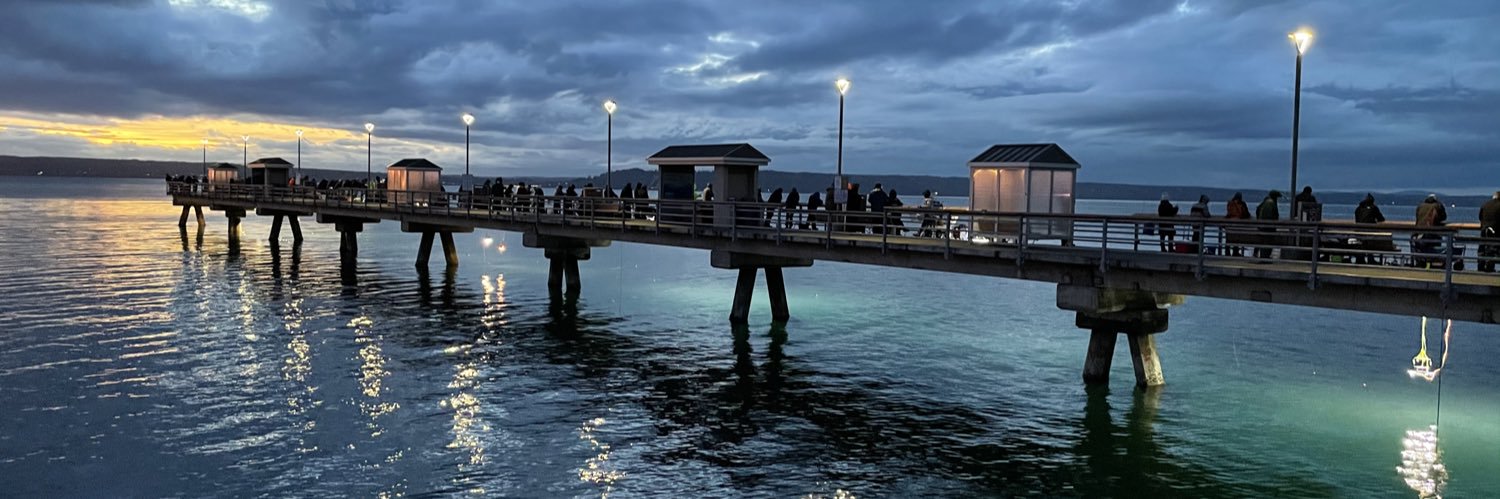 K. L. Schneider (the constitution is antifascist) banner