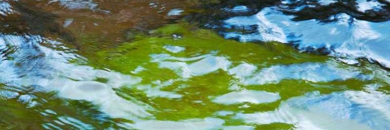 Clear Streams banner
