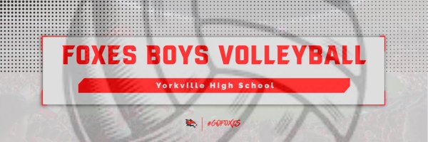 Foxes_BVB Profile Banner
