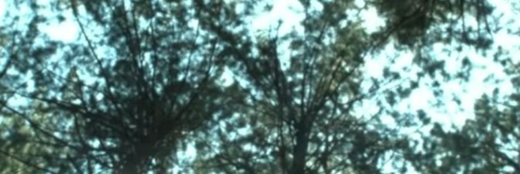 birugon's profile banner image