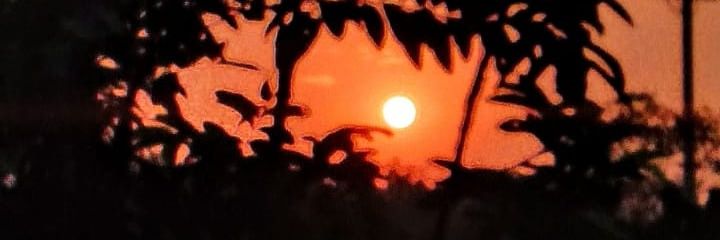 Kankananath1's profile banner image