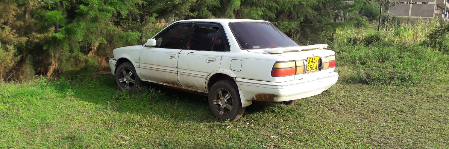 ae91 connoisseur. banner