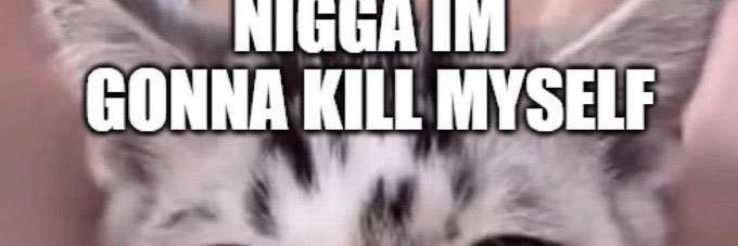 ari's banner