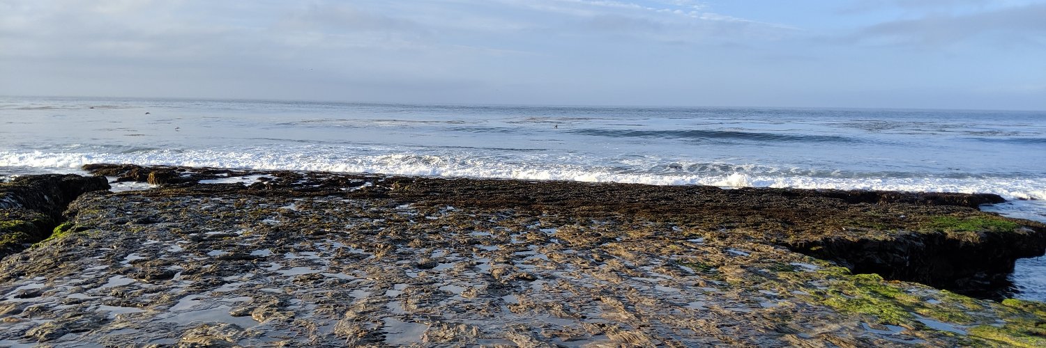 Natalie Sarno banner