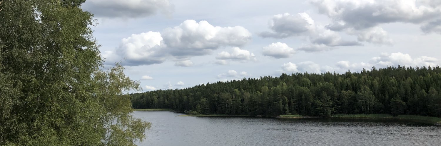 JohanJaveus's profile banner image
