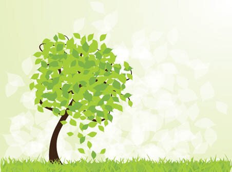 scb329329's profile banner image