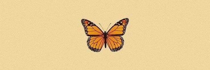 Robyn_L_K's profile banner image