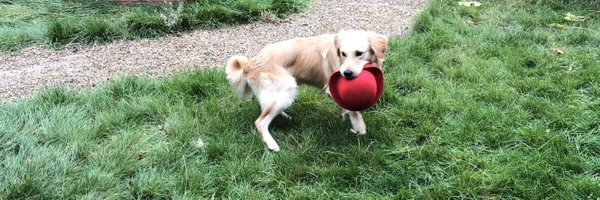 Normand_Croft Profile Banner