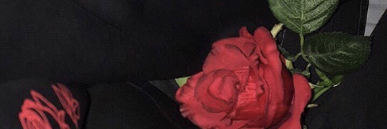 arta_xo's profile banner image