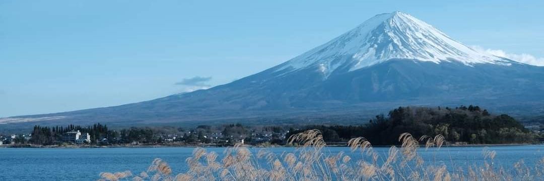 หมีพี่พูห์ - ทุกทวิตถือว่าเติม not all แล้ว banner