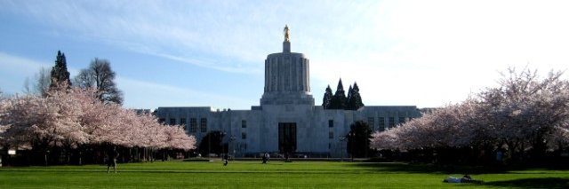 State Representative Hai Pham, DMD banner