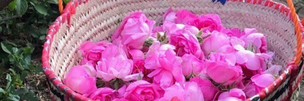 Maytha_95's profile banner image