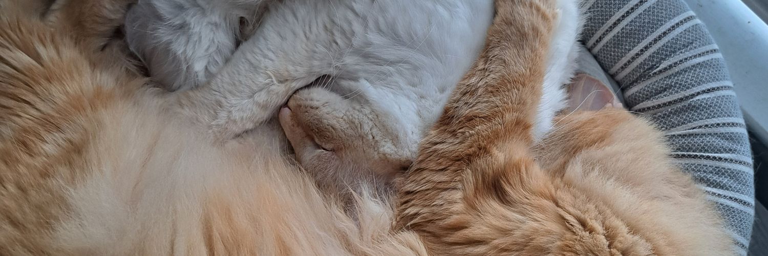 mikehawksnes's profile banner image