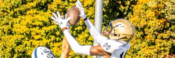 JerryFFigaro Profile Banner