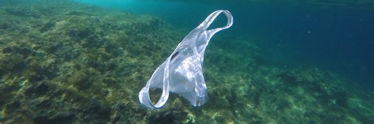 Male Wrappers - Eyes are always single banner