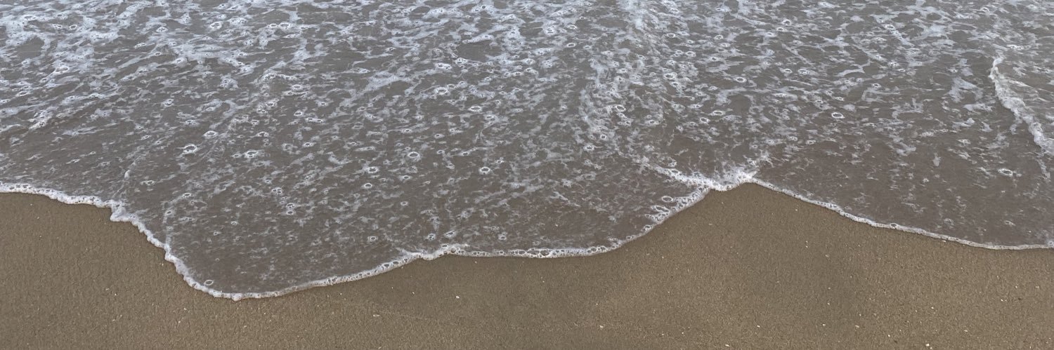forestberryyy's profile banner image