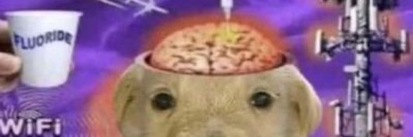 AeltyJ Profile Banner