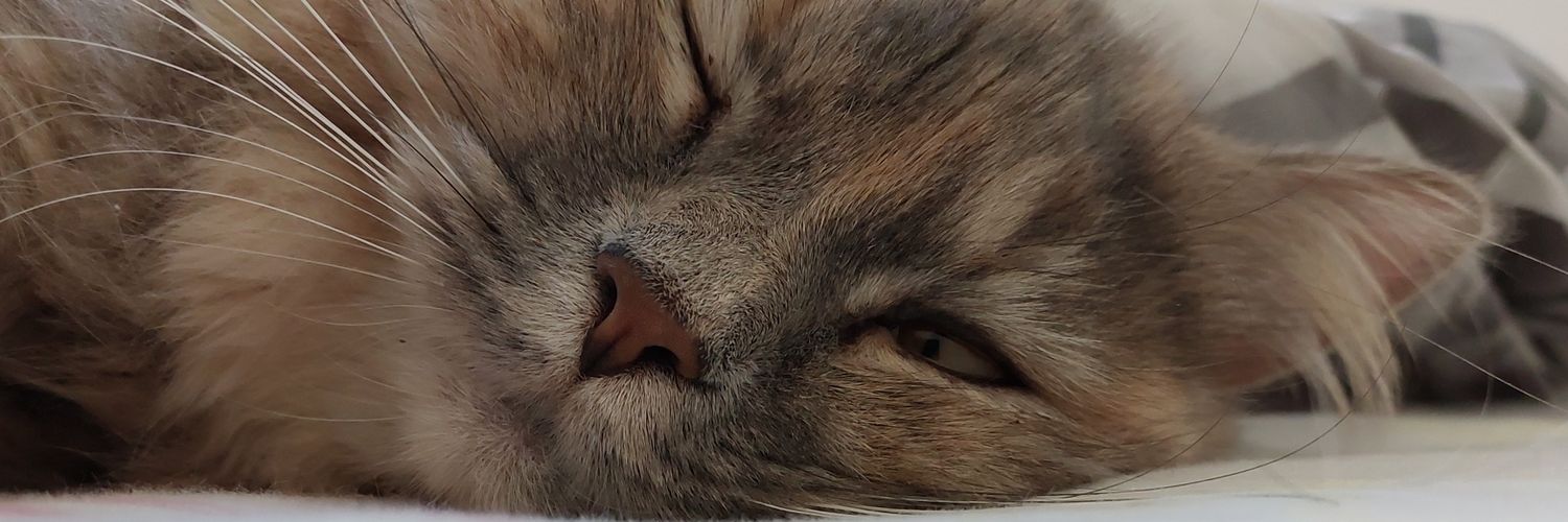 0ssMarii's profile banner image