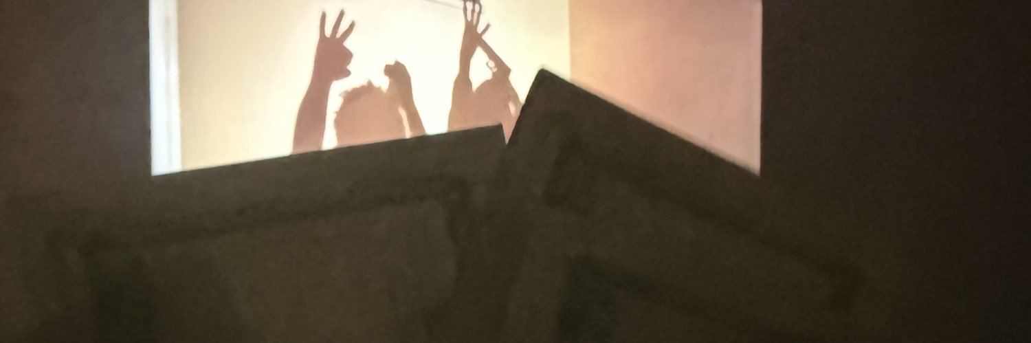 dev1ncognito's profile banner image