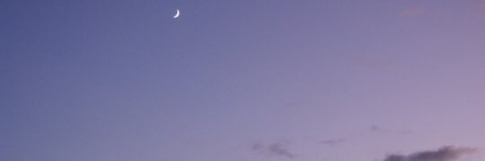 maeniaa's profile banner image