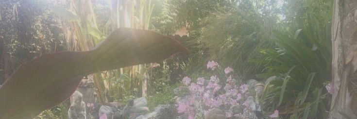 ꩜ۦۦ banner