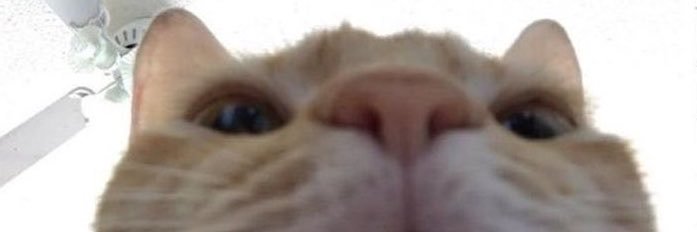 geriwohadaa's profile banner image