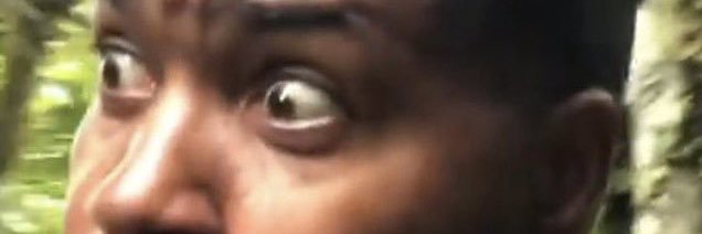 Black Or Blacks banner