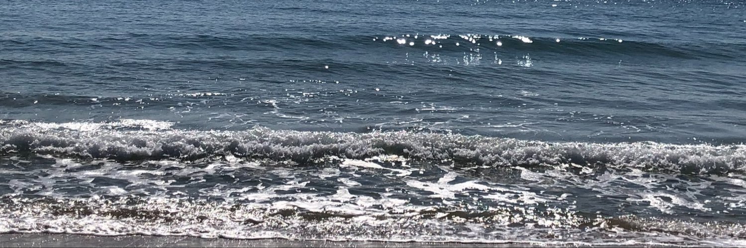 dodo_526's profile banner image