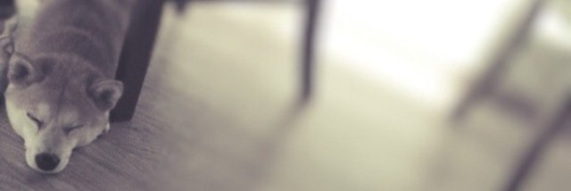 7schan's profile banner image