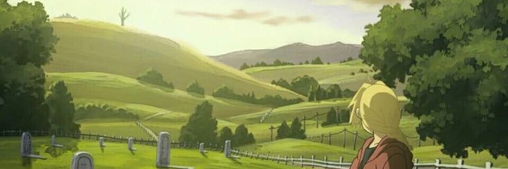 duda cbjr fma alnst de almeida stark elric banner