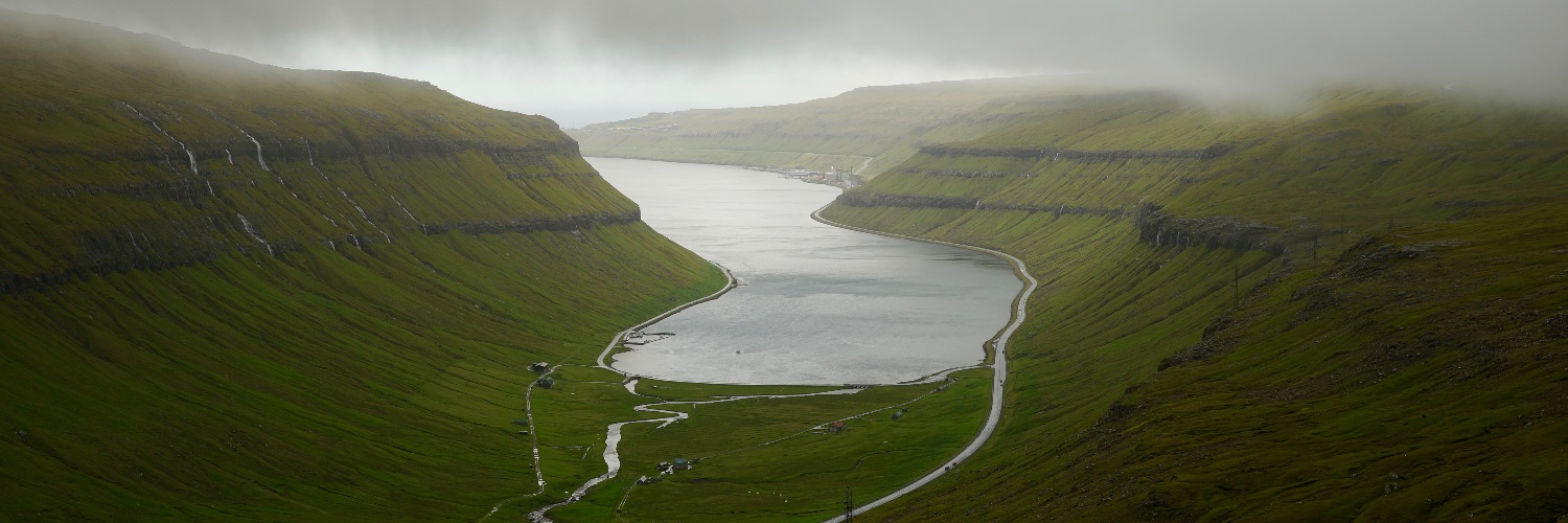 Alexander Batliner banner