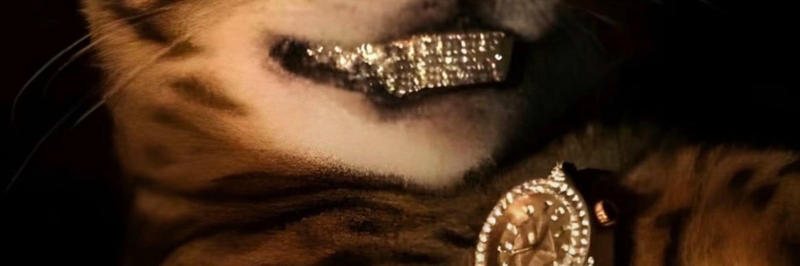 delrosayani's profile banner image