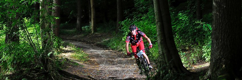 Pluap banner