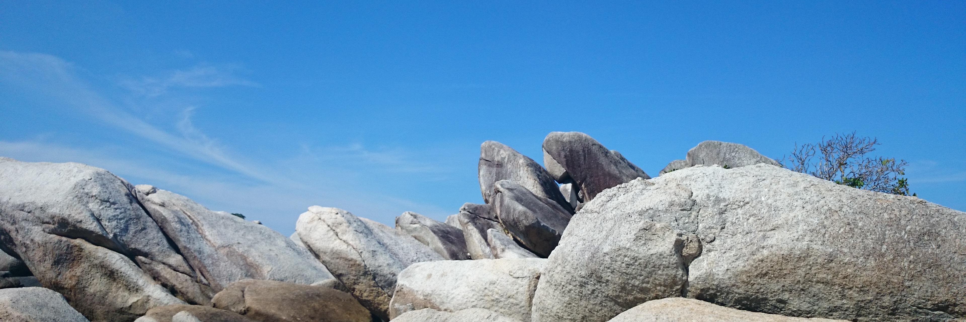 rinella's profile banner image