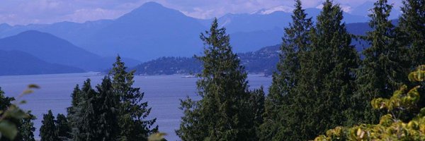 GreyWolfV2 Profile Banner