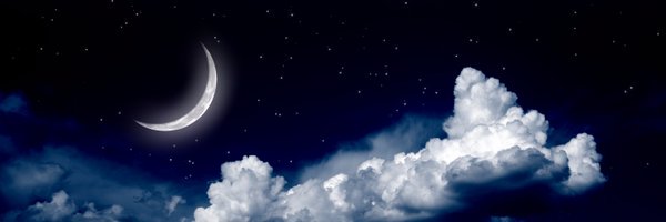 Anna Burce banner