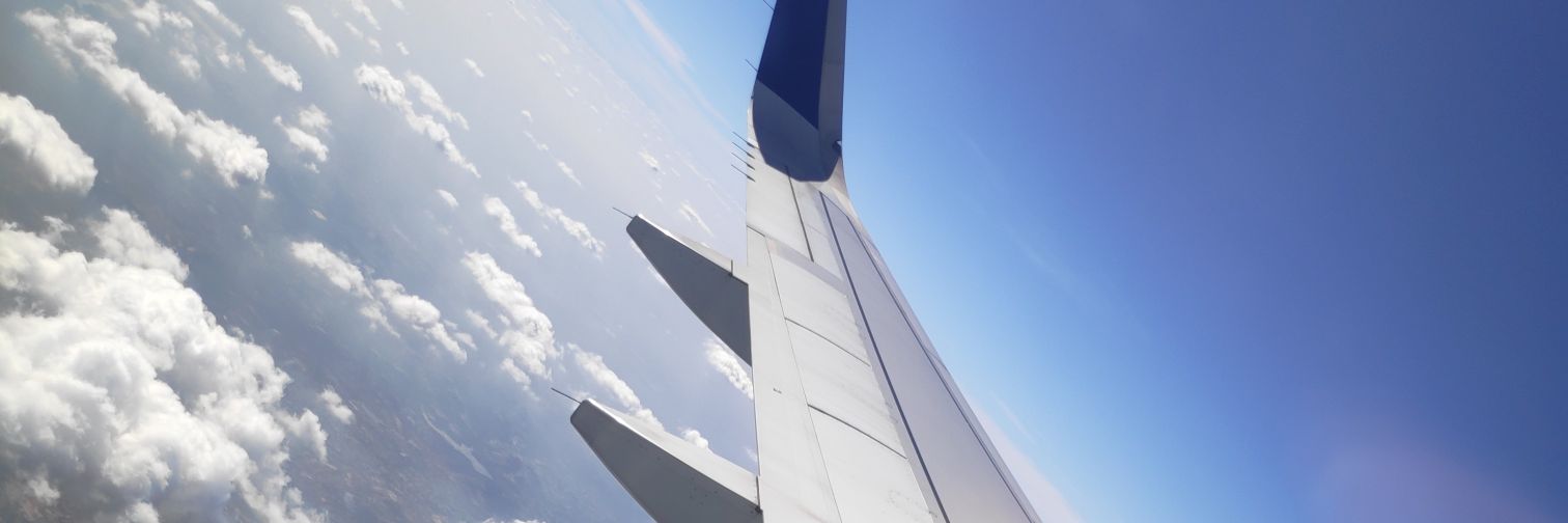 curioushadal's profile banner image