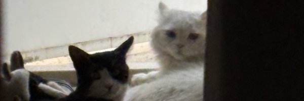 grano_no Profile Banner