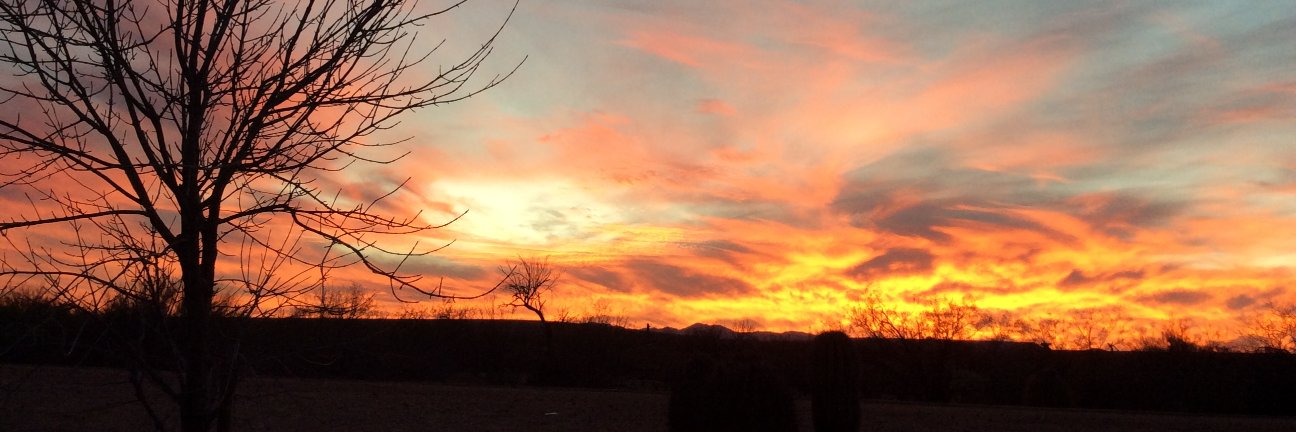 Jake 🇺🇸 banner