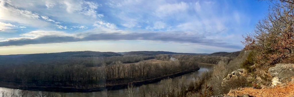 Anna Forcelledo banner