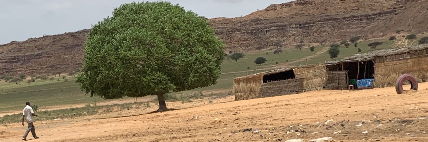 wadaljack's profile banner image