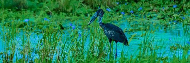 Emmanuel Mfitumukiza banner