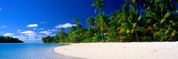 Kalina2000 Profile Banner